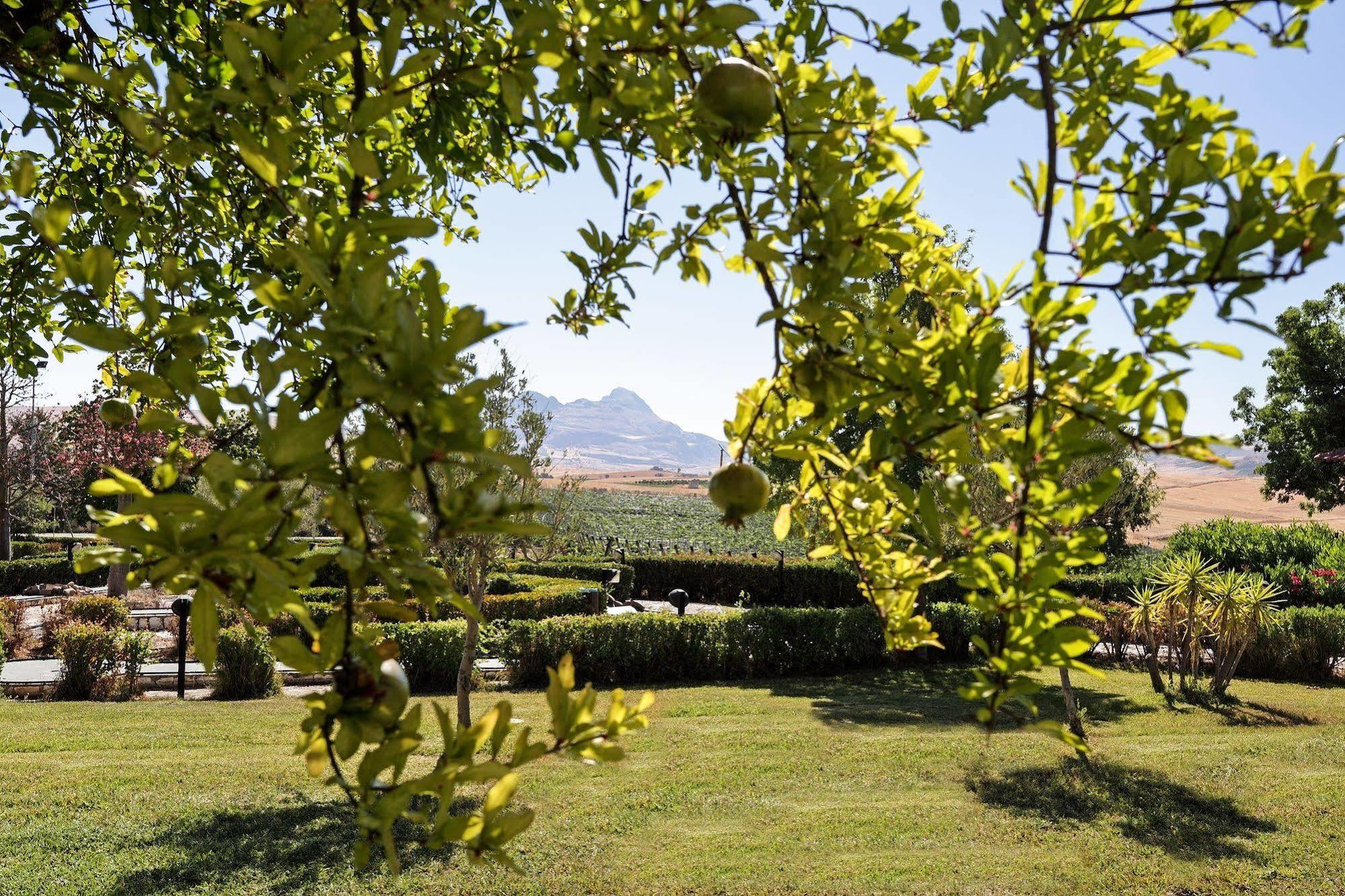Agriturismo Tenute Pollara Casa Mia Roccamena Exterior foto